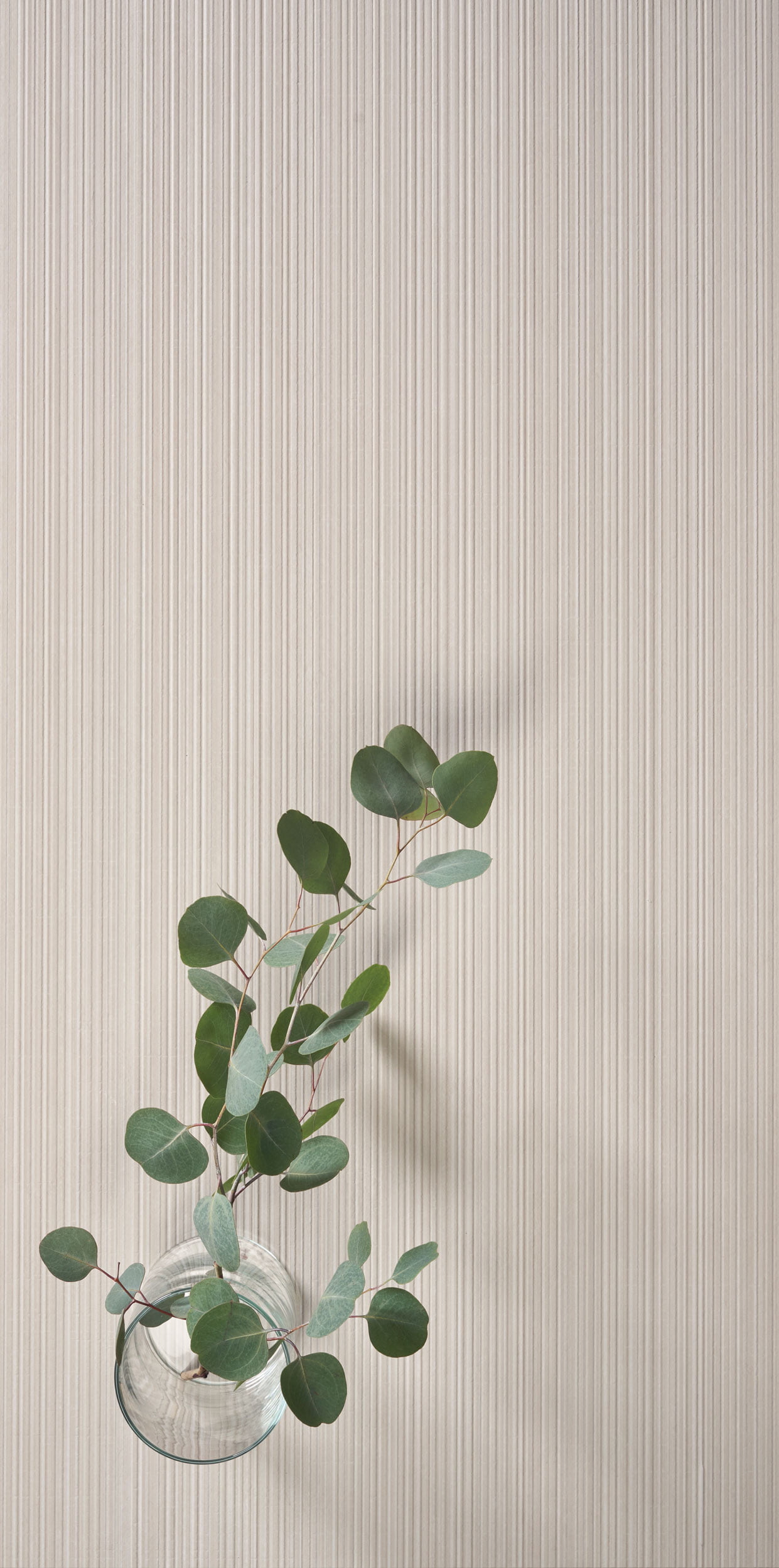超级经典米色系列 - Superclassica SCB